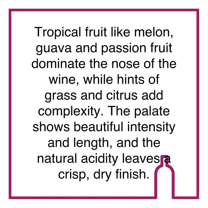 Case of Groot Constantia Sauvignon Blanc