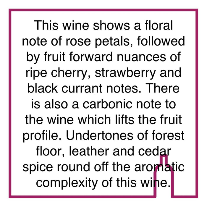 Case of Saxenburg Pinotage