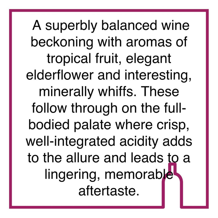 Case of Creation Sauvignon Blanc