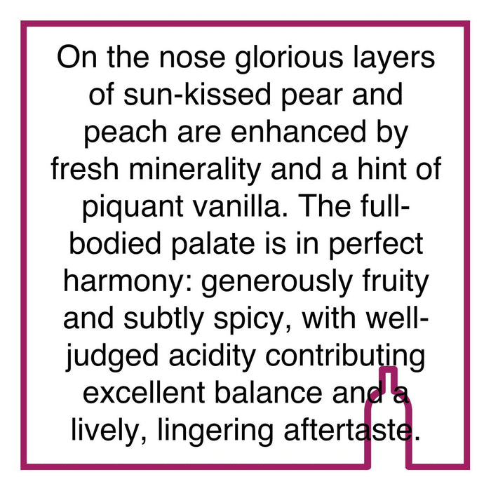 Case of Creation Chardonnay