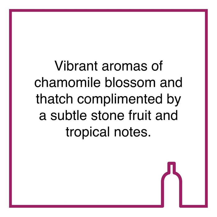 Case of Silverthorn River Dragon