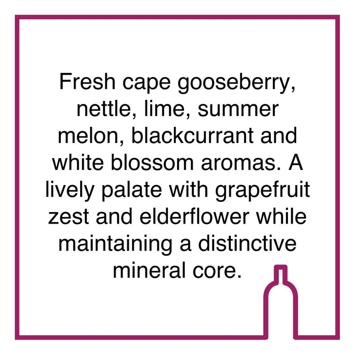 Case of Steenberg Sauvignon Blanc