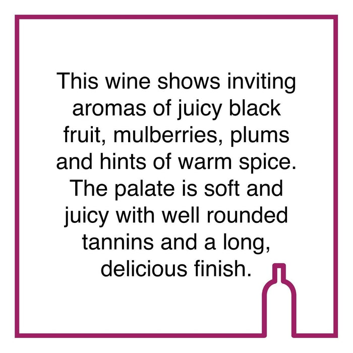 Case of Thelema Mountain Red