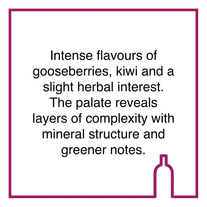 Case of Kleine Zalze Vineyard Selection Sauvignon Blanc
