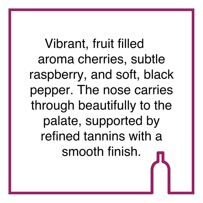 Case of Vondeling Petit Rouge Merlot