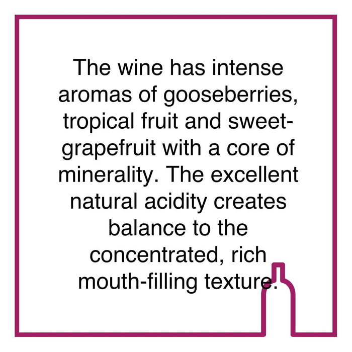 Case of Diemersdal Winter Ferment Sauvignon Blanc