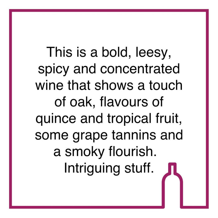 Case of Diemersdal Wild Horseshoe Sauvignon Blanc