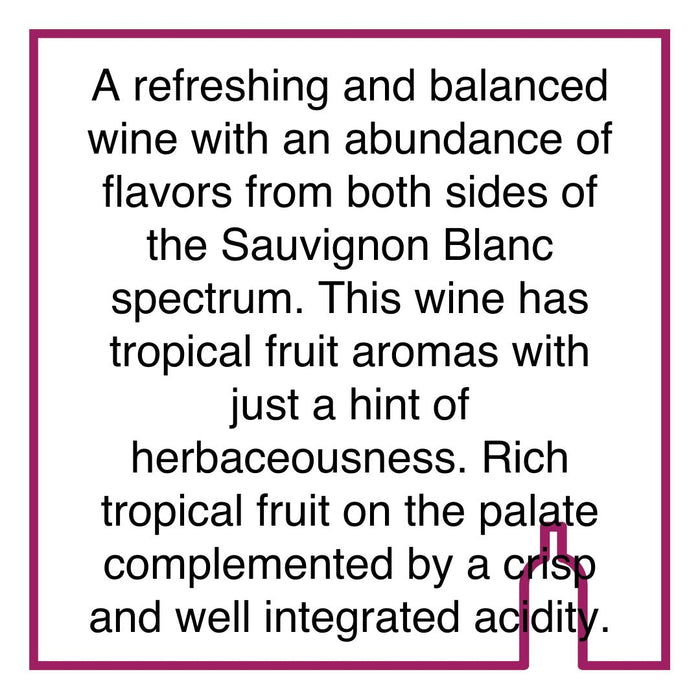 Case of Man Warrelwind Sauvignon Blanc