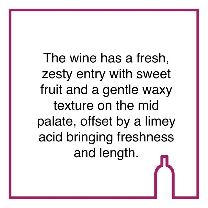 Case of Remhoogte Weisser Riesling