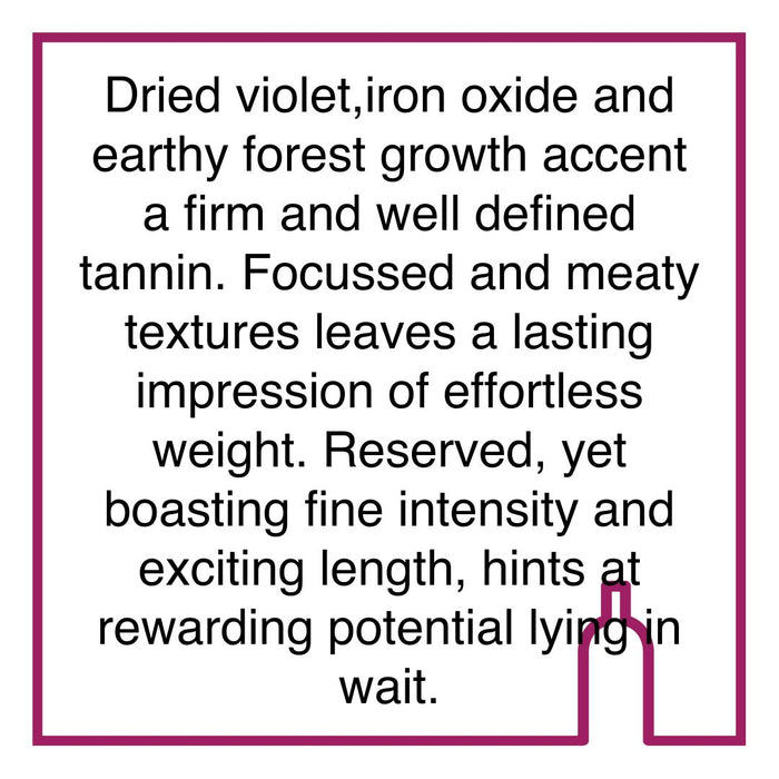 Case of 3 Bouchard Finlayson Hannibal Magnum