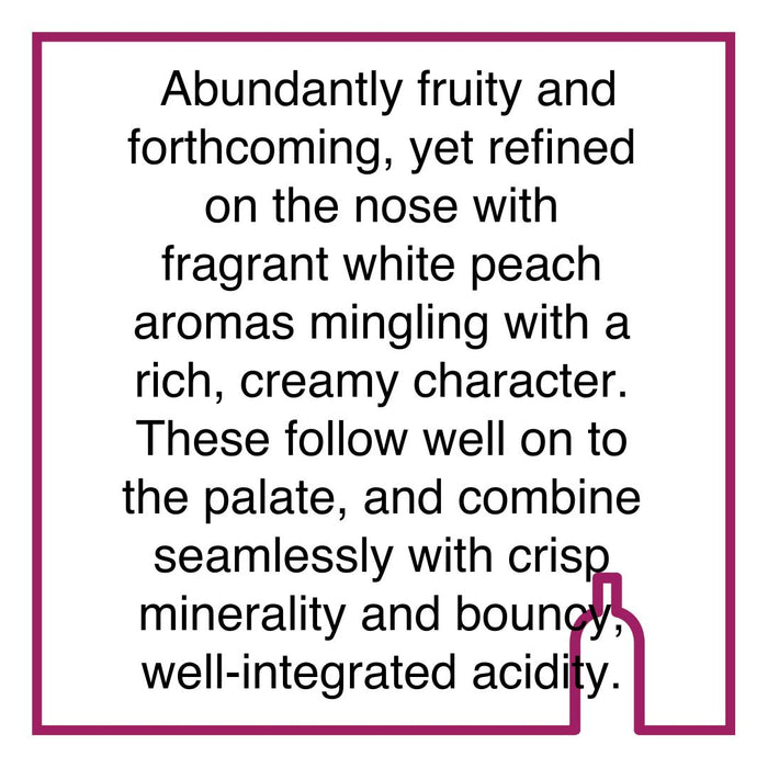 Case of Creation Viognier