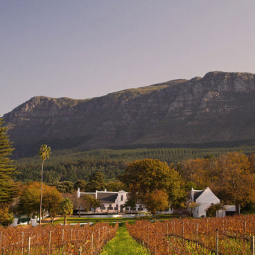 Klein Constantia Wine Estate Wine In The Warehouse