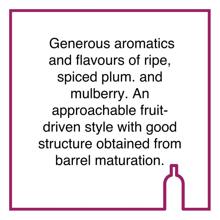 Case of Jordan Chameleon Syrah