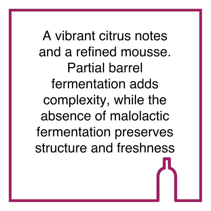 Bottle of Alexander Brut