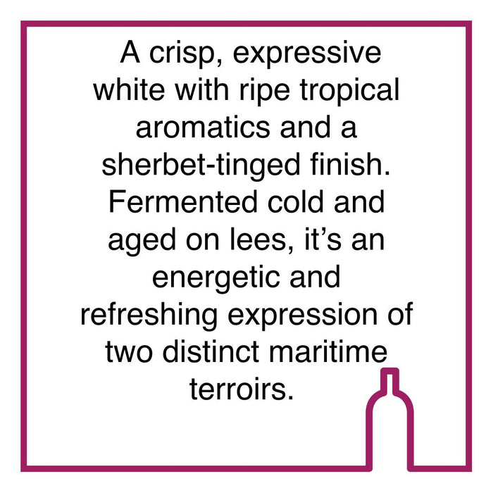 Bottle of Alexander Sauvignon Blanc