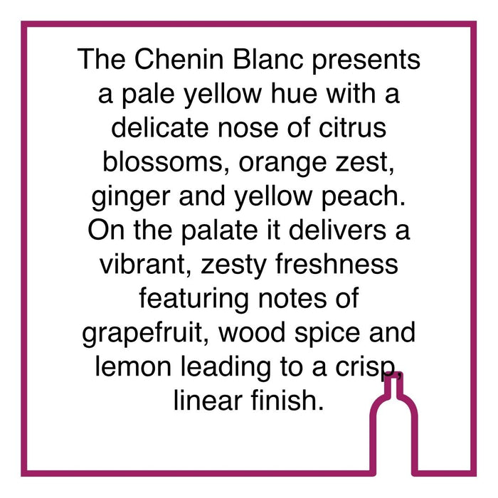 Case of Cavalli Reserve Chenin Blanc