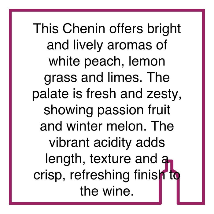 Case of Cavalli Unoaked Chenin Blanc