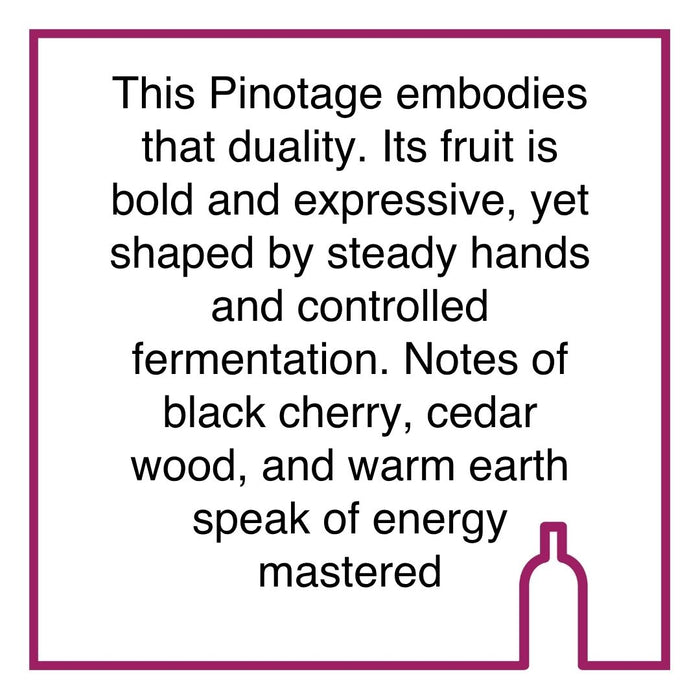 Case of Rickety Bridge Pinotage
