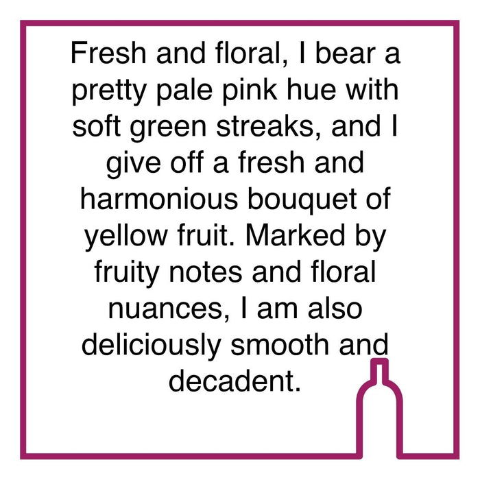 Pack of 24 Veuve Du Vernay ICE (200ml)