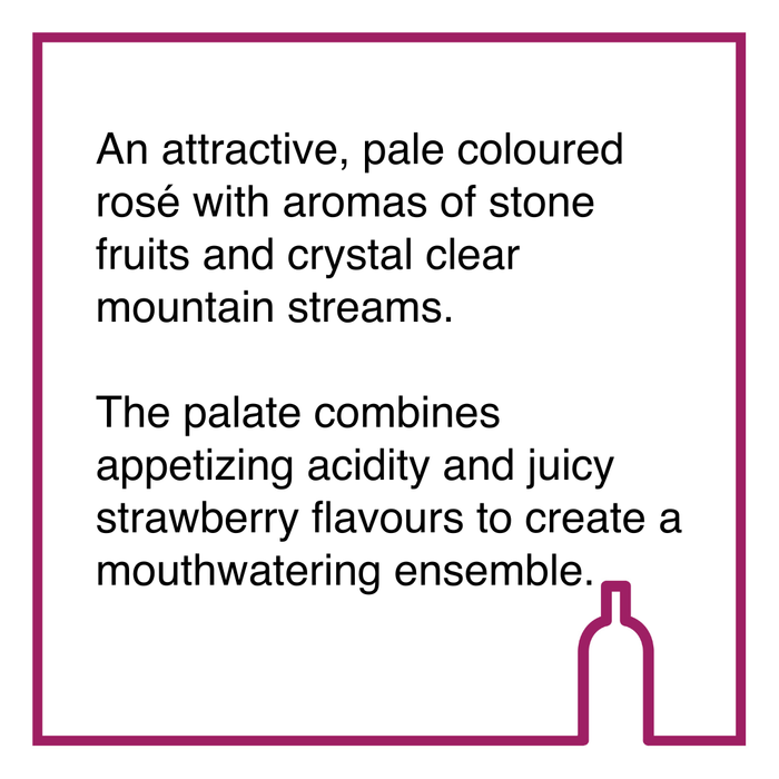 Case of Vriesenhof  Rose